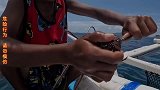 菲律宾小男孩用大龙虾钓鱼，究竟是赚了还是亏了