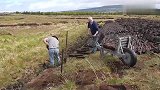 什么是“泥炭”？生长在沼泽泥地旁边，苏格兰人民靠开采它为生