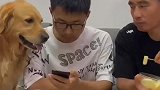 虽然我不是人，但你俩是真的苟