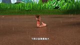 萌鸡小队：猜猜萌鸡看到了什么，有东西喜欢雨天，是小蚯蚓