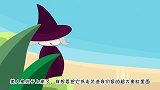 鳄鱼中了女巫的黑魔法，不让美人鱼下海，要抓走美人鱼，该怎么办
