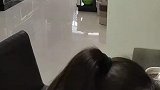 狗子闯祸被关禁闭，男主人让出来后被女主人一吼瞬间钻回去