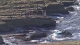悉尼发生鲨鱼袭击事件 附近海域发现人体残骸