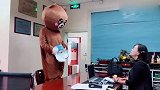 网红熊无法无天了，现在连老板都敢惹，想被炒鱿鱼了吗？