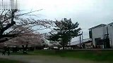 旅游-京都岚山的樱花