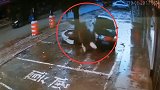 广西钦州一司机疑油门当刹车撞飞路人 伤者摔落在花坛上