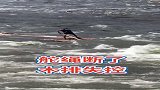 江上的木筏，绳子断了失控了