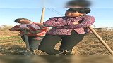 婆婆防止儿媳偷懒，在她脖子上挂了个炸弹，儿媳知道那是喇叭