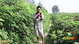 防诱拐系列9：欢欢成功逃脱，骗子却要提前交易，能来得及救人吗