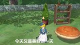 小森生活：新的一年，品一份冬日暖阳下午茶