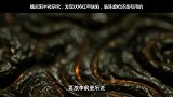 魏叔阳熬夜研究，发现伏将红甲缺陷，临阵磨枪还是有用的
