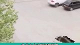 拍到神奇现象