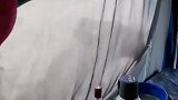 野外宿营，早上起来俩狮子在外面