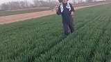 大衣哥在麦地里唱歌，被粉丝包围了