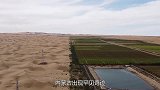 内蒙古出现罕见奇迹，将黄河水引入沙漠后，结果出乎意料