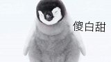 原来你是这样的企鹅！
