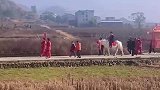 路遇接亲队伍骑白马抬花轿