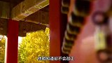 为什么老实人总吃亏？原因是被人掐准了三个弱点，别傻傻软弱下去