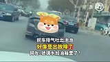 前车排气吐出泡泡，好像是出故障了