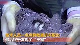 10米长白蚁“王宫”被挖出 30岁蚁王蚁后被一锅端