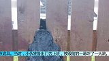乌鸦被卡围栏里，小伙好心搭救，几天后却有点后悔了