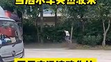 男子路边休息遇洒水车，这反应厉害了