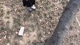 妈妈被萌娃逼的上树