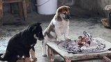 全国遭遇降温！零下十八度大风低温天气，你靠什么方法取暖？