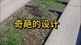 奇葩的设计公交车专用道