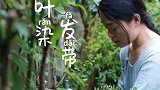 鲜叶染发带太漂亮了