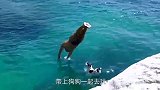 男子喜欢跳水，结果家里狗狗被“传染”镜头记录精彩全程