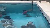 不会湿衣服的泳池，随意走动