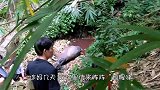 山沟传来阵阵“血腥味”，村民下去一看，顿时哭出声来！