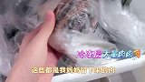 何洛洛自曝生吃海参为长高？做超酷炫鸡蛋料理，紧张到结巴！