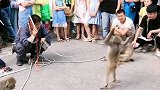 猴子翻跟头。