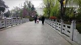 陶冶情操，改善心情20（短片）