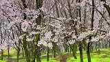 “因为天气好，因为天气不好……”你来就是刚刚好，别再等天晴了
