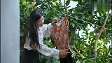 方言喜剧：小巴连翠娥幺衣服也不放过