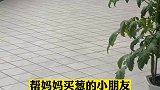 帮妈妈买葱的小朋友，结果是个什么情况