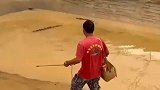 看鳄鱼养殖场的工作人员是怎么叫鳄鱼起床的，鳄鱼都直了