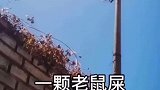 村长很气愤后果很严重