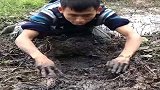 小伙抽干野外池塘，发现黄鳝窝，终于有收获！