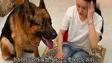 女主练瑜伽，狗子见其要摔倒直接上前去救女主，太暖心了