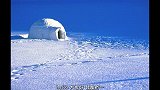 北极天气寒冷，为啥因纽特人喜欢住冰屋，真想去感受一次