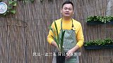 兰花分株之后三个芦头冒七条新芽，看我完又学一招