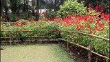 太坏了吧，睡觉睡得正香呢，突然被气球给吓醒了！