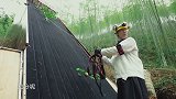 黄磊得知苹果矿没开放，便怂恿红雷拿走道具