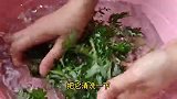 根本没想到艾草配苦瓜，作用竟然这么厉害
