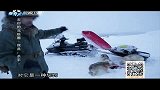 《去你的北极圈》之因纽特人和雪橇犬的感情