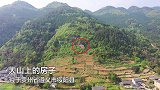 大山上发现一奇怪房子，走上去一看，居然有一棵树从屋子里长出来